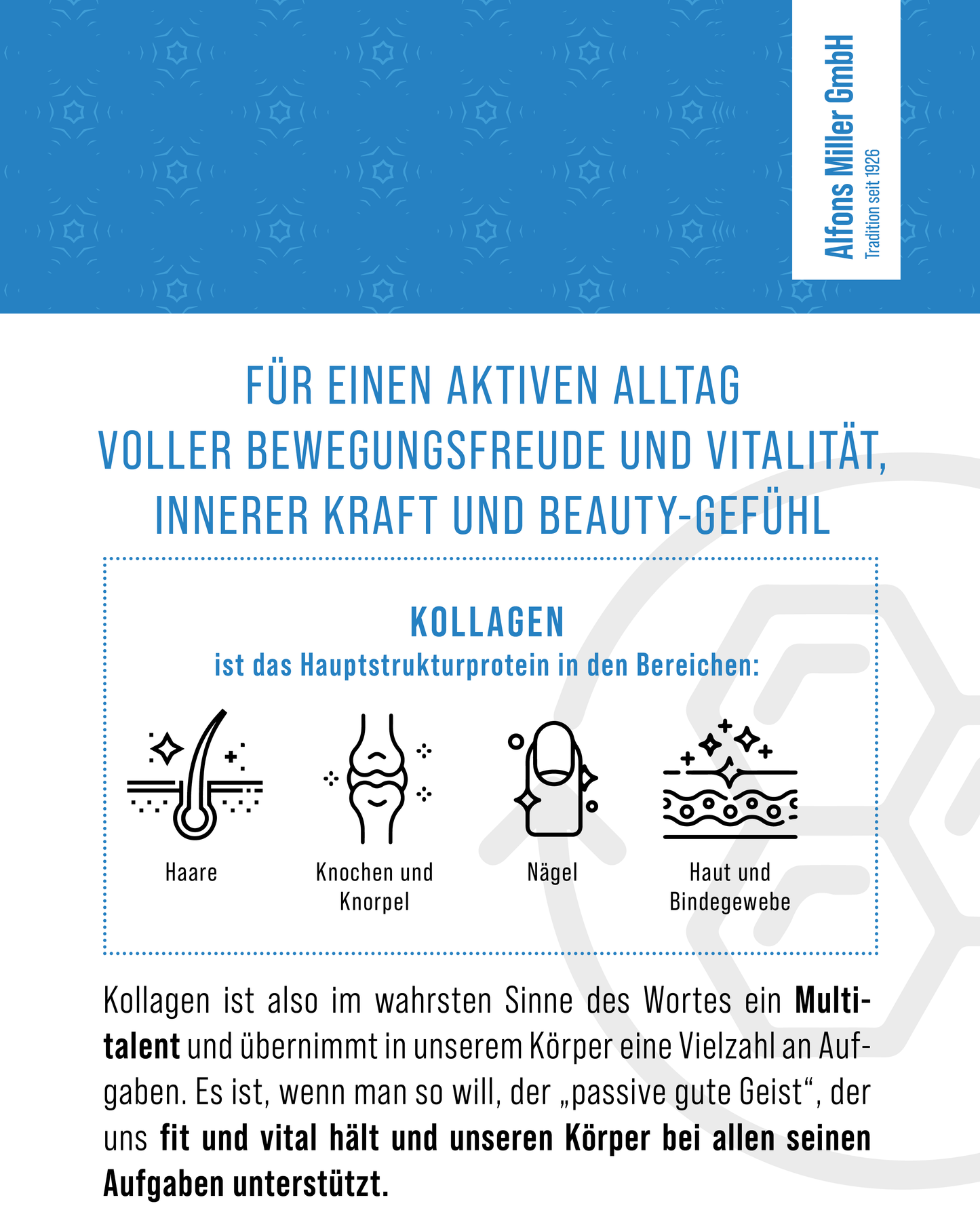 Infografik mit dem Slogan: ‚Für einen aktiven Alltag voller Bewegungsfreude und Vitalität, innerer Kraft und Beauty-Gefühl‘. Darstellung der Wirkung von Kollagen als Hauptstrukturprotein für Haare, Knochen und Knorpel, Nägel sowie Haut und Bindegewebe. Text beschreibt Kollagen als Multitalent für Vitalität, Schönheit und körperliche Stabilität.