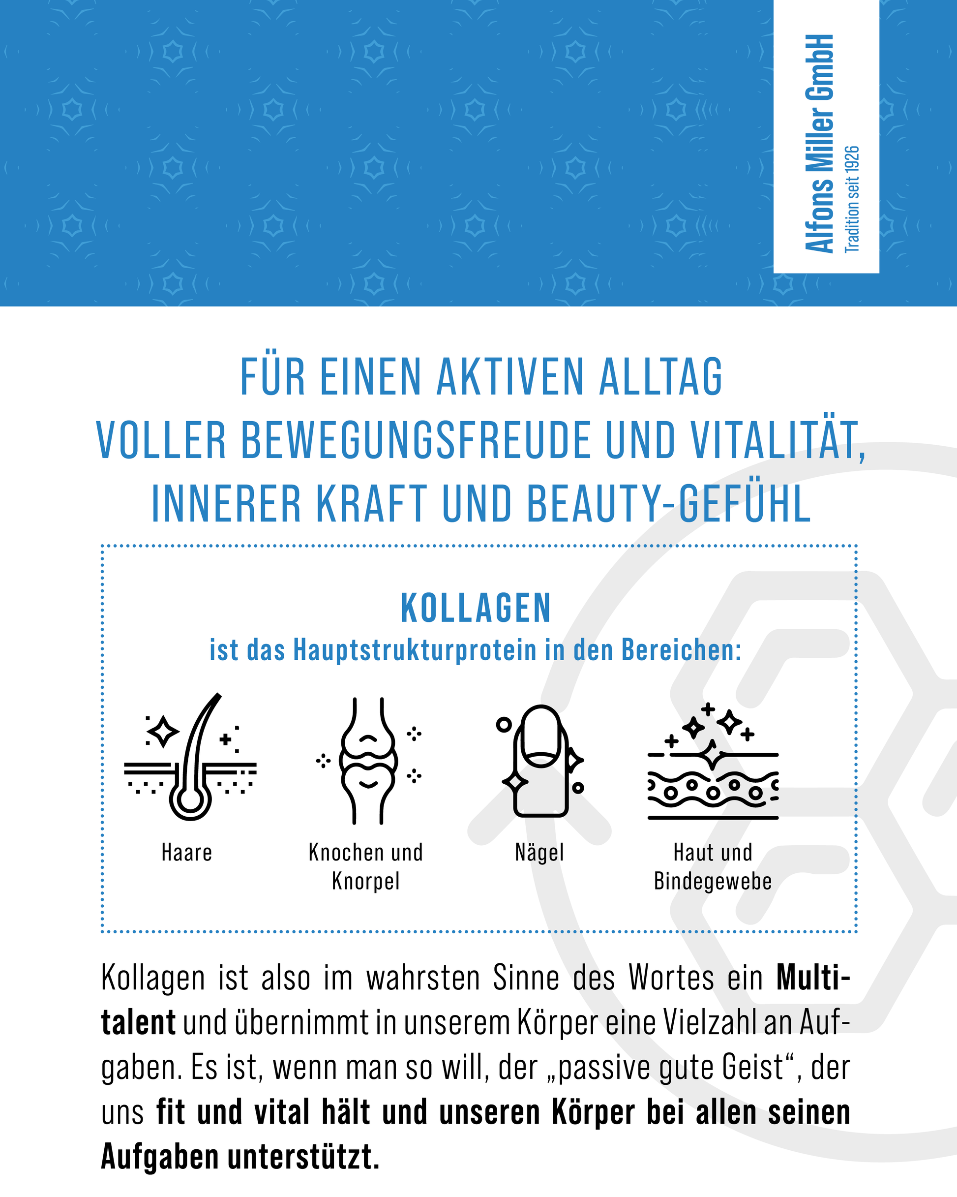 Infografik mit dem Slogan: ‚Für einen aktiven Alltag voller Bewegungsfreude und Vitalität, innerer Kraft und Beauty-Gefühl‘. Darstellung der Wirkung von Kollagen als Hauptstrukturprotein für Haare, Knochen und Knorpel, Nägel sowie Haut und Bindegewebe. Text beschreibt Kollagen als Multitalent für Vitalität, Schönheit und körperliche Stabilität.