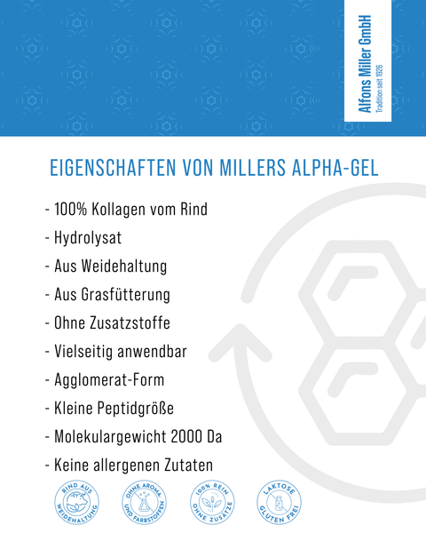 Infografik zu den Produkteigenschaften von Millers Alpha-Gel: 100 % Kollagen vom Rind, Hydrolysat aus Weidehaltung und Grasfütterung, ohne Zusatzstoffe, vielseitig anwendbar, in Agglomerat-Form, mit kleiner Peptidgröße und einem Molekulargewicht von 2000 Dalton. Frei von allergenen Zutaten. Unten Symbole für Weidehaltung, ohne Aromen/Farbstoffe, 100 % rein, laktose- und glutenfrei