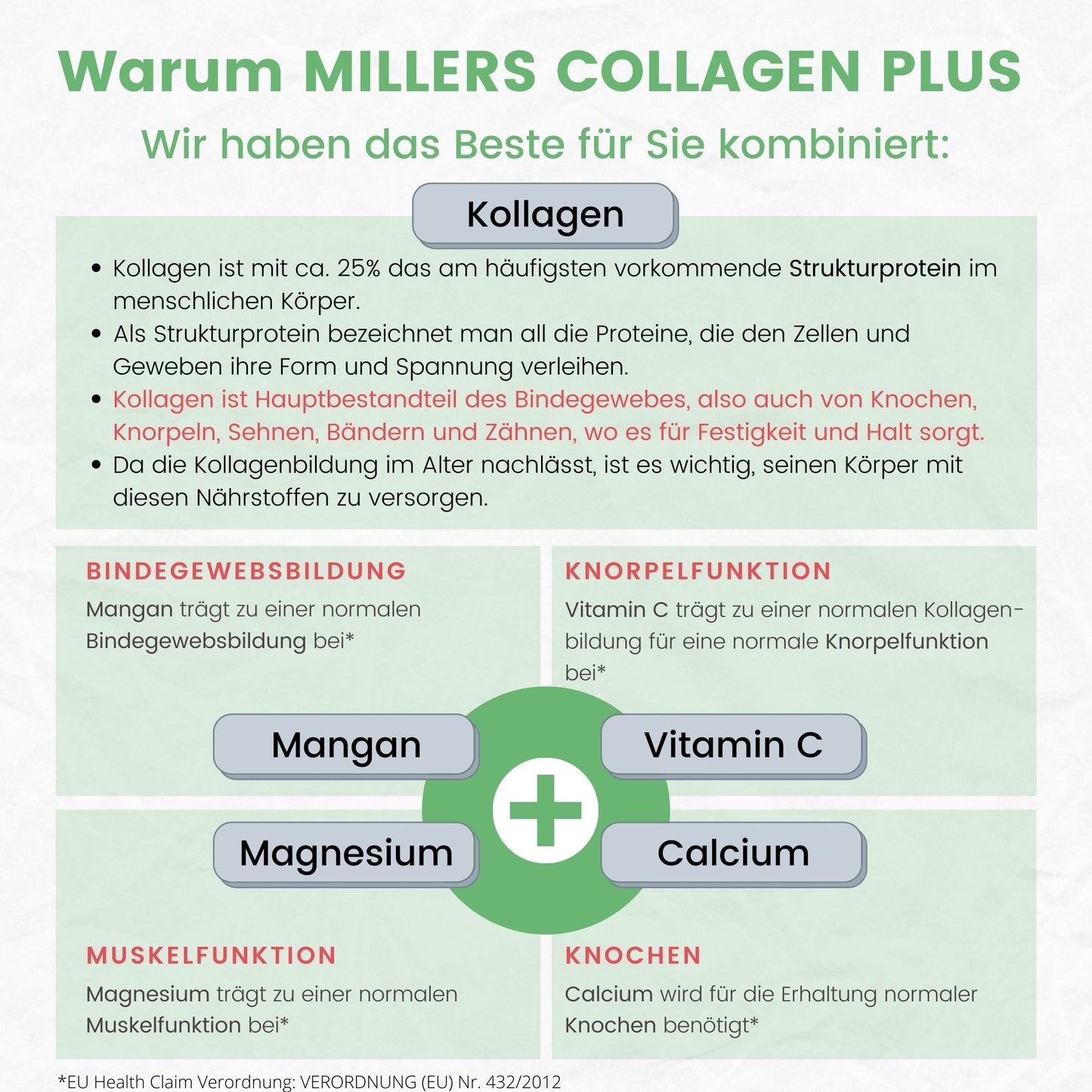 Infografik zur Wirkung von Millers Collagen PLUS: Kollagen als Strukturprotein für Bindegewebe, Knochen, Sehnen und Zähne. Ergänzt durch Mangan, Vitamin C, Magnesium und Calcium. Darstellung der EU-Health-Claims zu Bindegewebsbildung, Knorpelfunktion, Muskelfunktion und Knochenerhalt laut Verordnung (EU) Nr. 432/2012